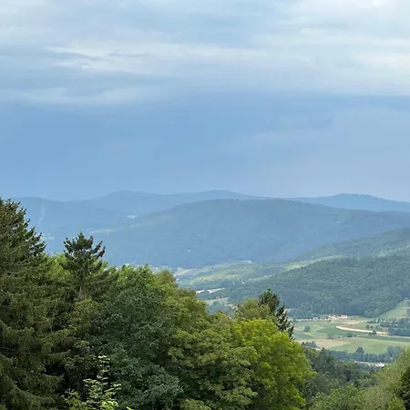 Uriges + Schoenblick + Mitten Im Bayerischen Wald + Wlan Kostenfrei * Schöfweg