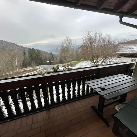 Uriges + Schoenblick + Mitten Im Bayerischen Wald + Wlan Kostenfrei Schöfweg