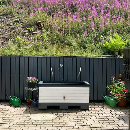 Uriges + Schoenblick + Mitten Im Bayerischen Wald + Wlan Kostenfrei Apartment *
