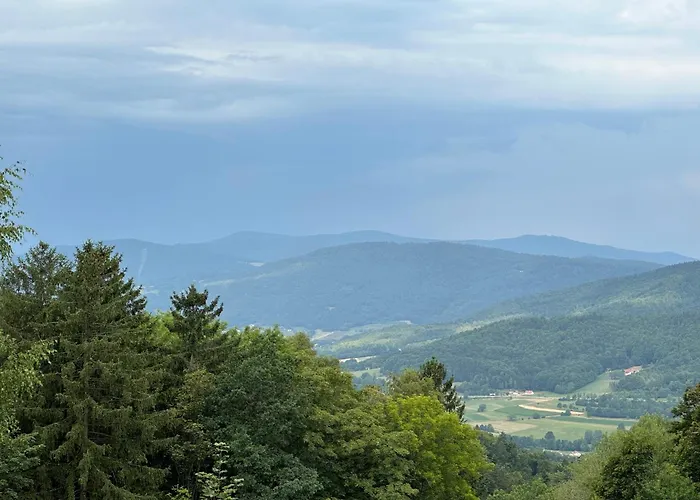 Uriges + Schoenblick + Mitten Im Bayerischen Wald + Wlan Kostenfrei * Schöfweg