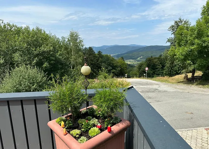 Uriges + Schoenblick + Mitten Im Bayerischen Wald + Wlan Kostenfrei Schöfweg